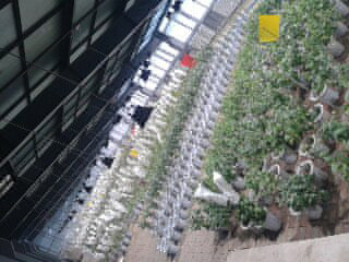 沈陽農業大學實驗基地(冷庫)